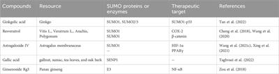 Exploring potential targets for natural product therapy of DN: the role of SUMOylation